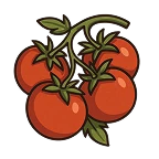 Tomaten